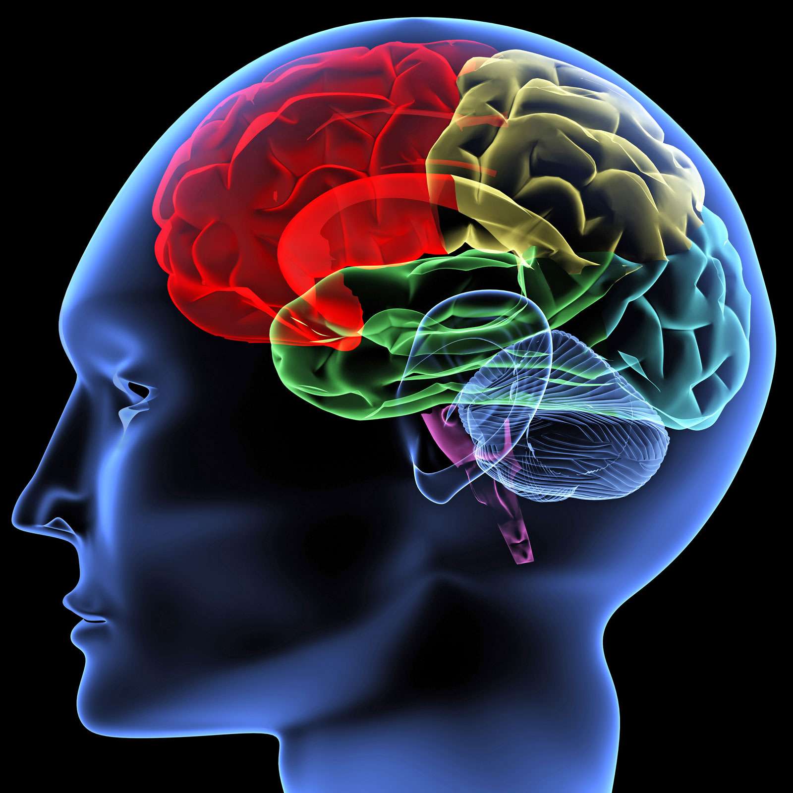 emotional perception and brain
