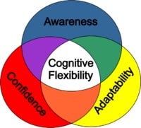 Cognitive flexibility meaning