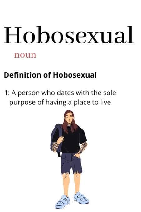 Hobosexual meaning