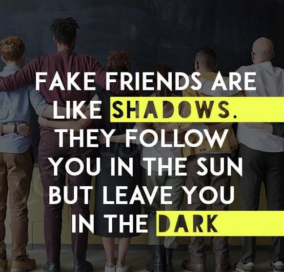 Fake People Quotes 13