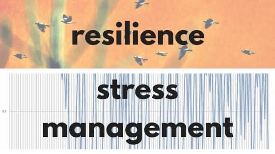 stress and resilience pdf