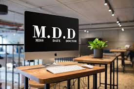 The best CEO Coaches at Miss Date Doctor 2