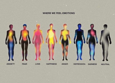 Where Do You Feel Sadness In Your Body