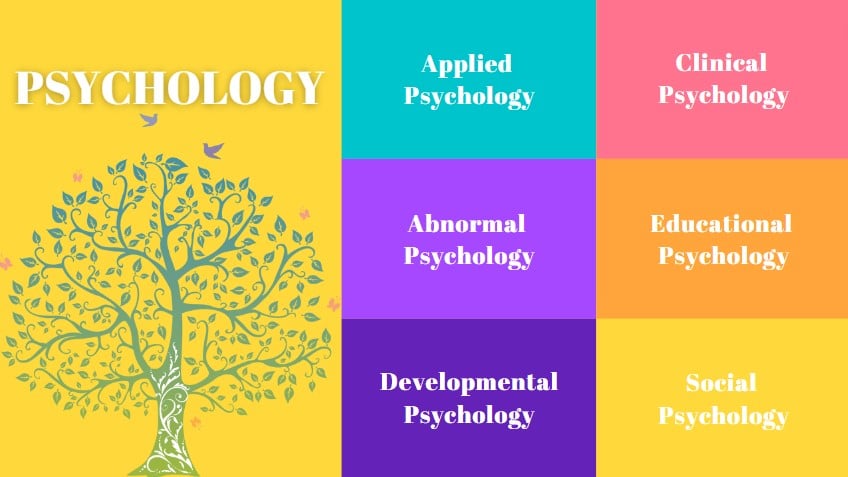 How Many Models Of Psychology Are There?