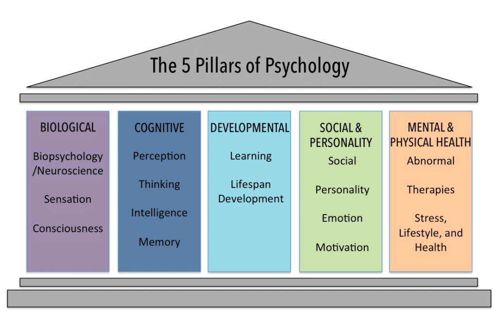 What Are The 5 Psychological Theories?