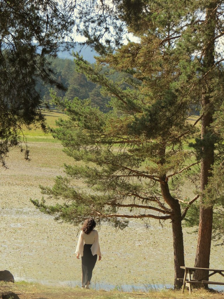 Peaceful Digital Detox Retreat experience supporting mental wellbeing, relationship connection, mindfulness and healthier technology use